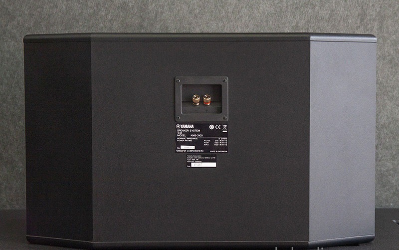 loa karaoke chuyên nghiệp 